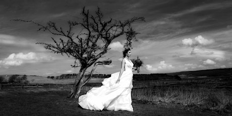 Wedding Photography without the stress primary image