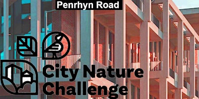 City+Nature+Challenge+2024