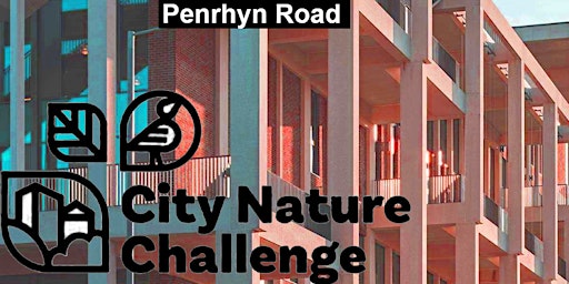 Hauptbild für City Nature Challenge 2024