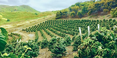 Coffee Farm Tours - Beginning Late Spring 2024. Dates TBD primary image