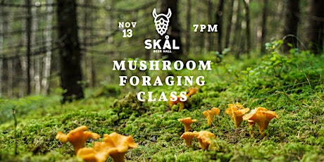 Primaire afbeelding van Mushroom Foraging Class