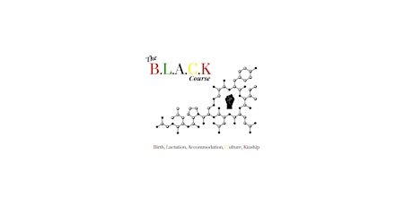 The B.L.A.C.K. Course Certified Blactavist Peer Counselor 24-Hours Training primary image