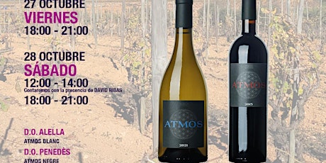 Imagen principal de Degustación Vinos Atmos