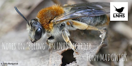 Hauptbild für Notes on Beeing an LNHS Recorder by Tony Madgwick -Ecology & Entomology AGM