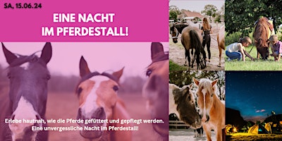 Imagem principal do evento Eine Nacht im Pferdestall!