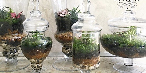 #007 Terrarium Workshop - Tom Price