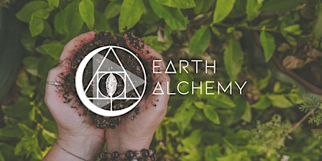 Imagen principal de 'Alchemy of the Earth' Guided Forest Therapy Walk