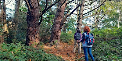 Imagen principal de Moor to Shore Guided Nature Walk at Turlin Moor and Upton Country Park
