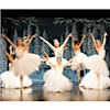 Logo de Orinda Ballet Academy