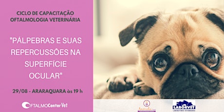 Imagem principal do evento Ciclo de Capacitação Oftalmologia Veterinária - Araraquara