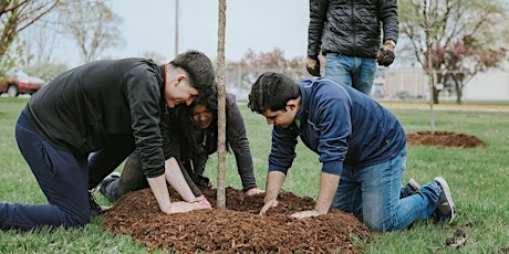 Hauptbild für Volunteer Tree Planting with the SCA