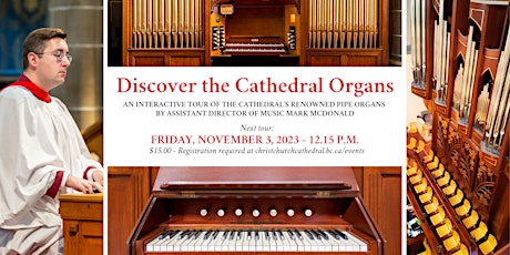 Discover the Cathedral Organs: An Interactive Tour primary image