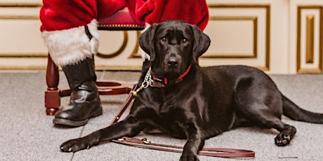 Image principale de Dog Photos with Santa