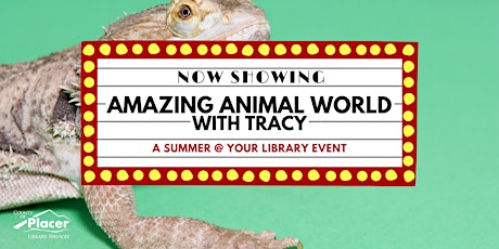 Amazing Animals with Tracy at Tahoe City Library