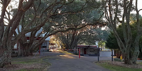 Whakapakari Tinana primary image