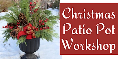 Christmas Patio Pot Workshop primary image