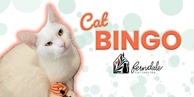 Imagem principal do evento Springo Cat Bingo!