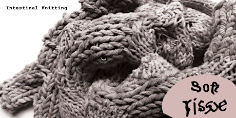 Imagen principal de Intestinal Knitting (Part of the Soft Tissue)