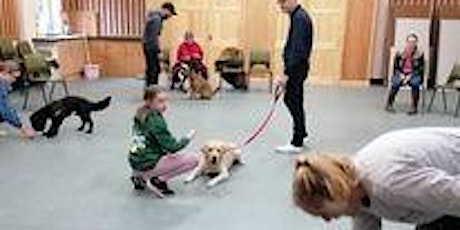 6 Week Dog Training Course 11th January 2024  6.30pm Sherwood primary image