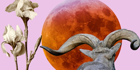 Primaire afbeelding van ♉ Lunar Eclipse Activation x Full Moon Ceremony