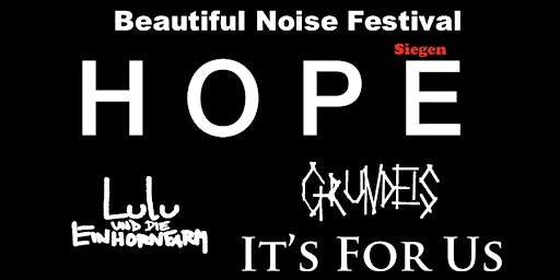 Beautiful Noise Festival VIII  primärbild