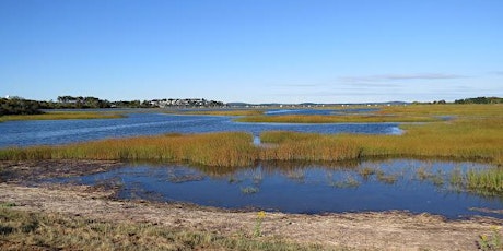 Plum Island, Salisbury, and West Newbury Lakes primary image