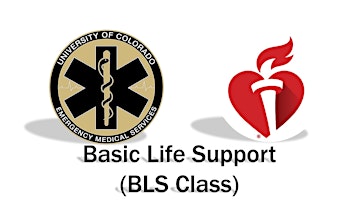 Primaire afbeelding van American Heart Association BLS Class