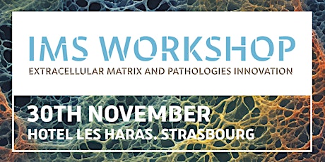 Workshop IMS : Extracellular Matrix And Pathologies Innovation primary image