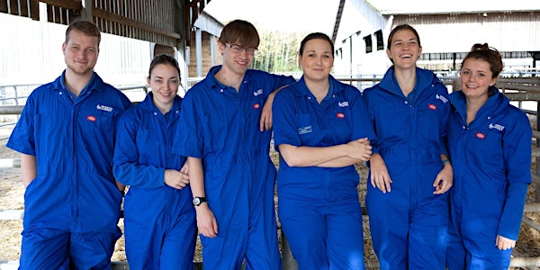 University of Surrey School of Veterinary Medicine Open Day 14 September 2019