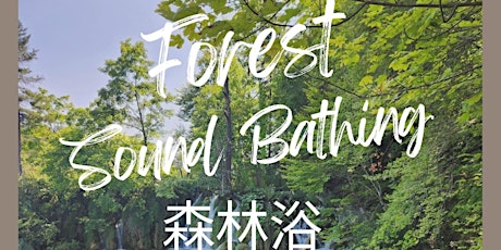 Forest Sound Bathing - Indoor Shinrin Yoku Experience primary image