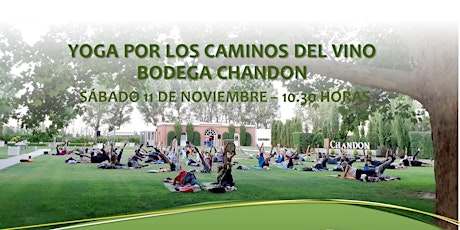 Yoga por los Caminos del Vino en Bodega Chandon primary image