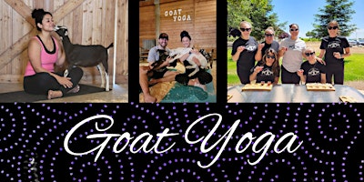 Imagem principal do evento Goat Yoga with Wine & Cheese Tasting