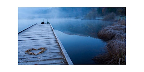 Imagem principal do evento Special Stillness: Yoga for the Holiday Season