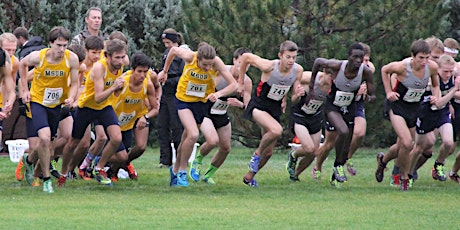 2019 GNAC Cross Country Championships primary image