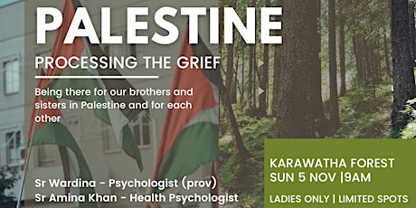 Palestine: Processing the Grief primary image