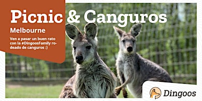 Imagem principal do evento Dingoos Picnic&Canguros - Melbourne