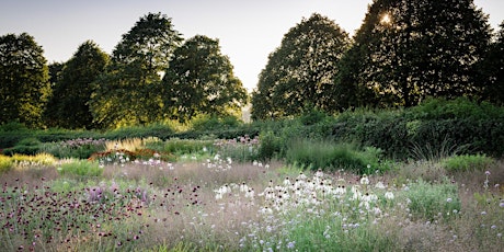 FIVE SEASONS: The Gardens of Piet Oudolf primary image