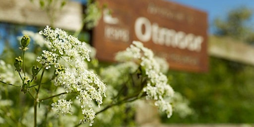 Hauptbild für RSPB Otmoor - a guided walk for OCS members only