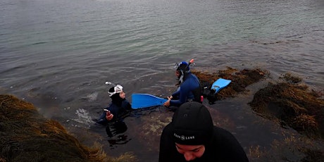 Hauptbild für Snorkelling at Polly's Cove