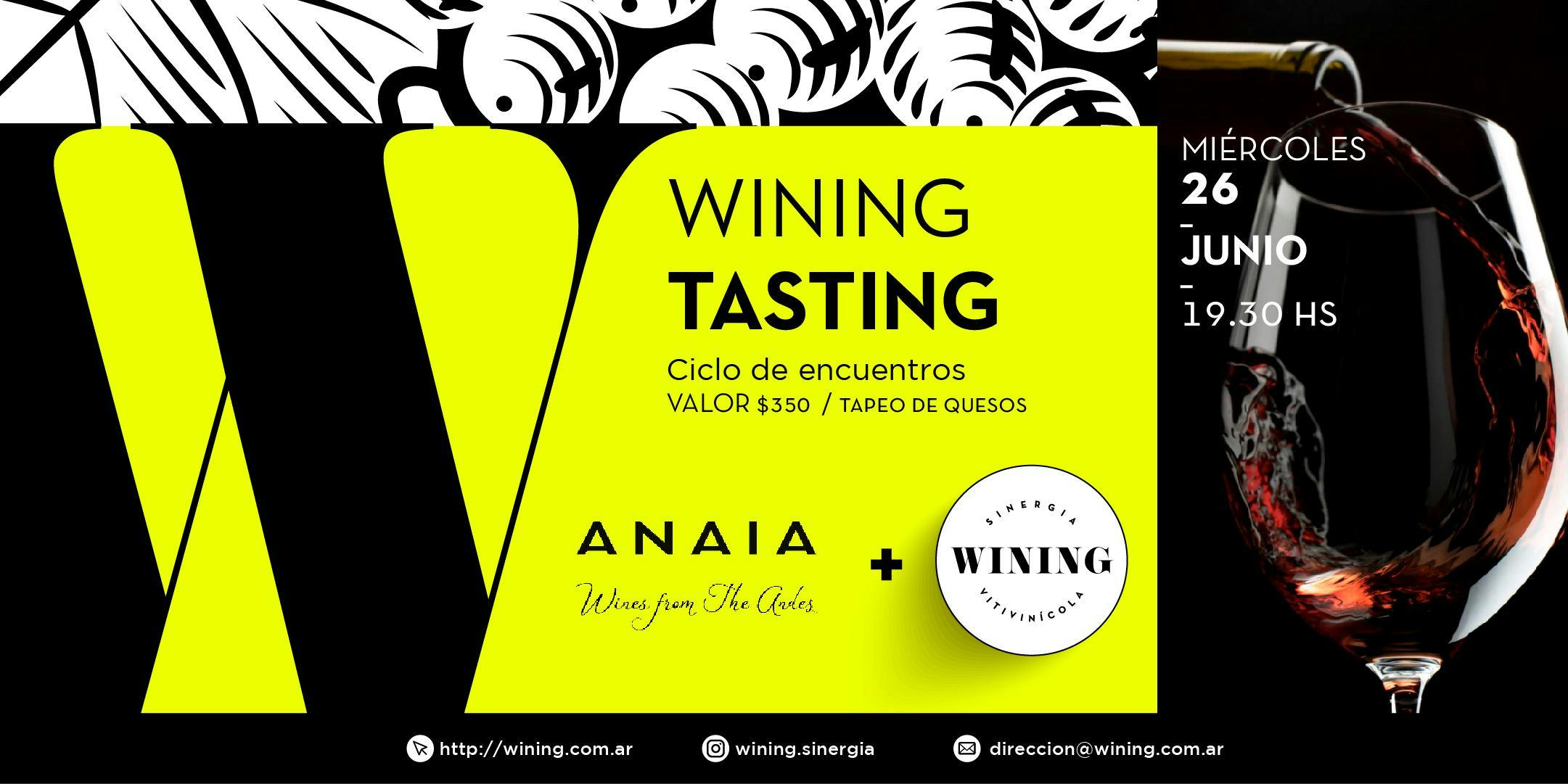 WINING TASTING