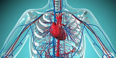 Primaire afbeelding van Contemporary Topics in Vasculitis