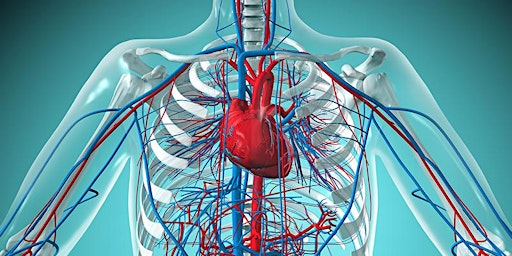 Primaire afbeelding van Contemporary Topics in Vasculitis