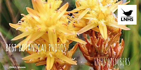 Hauptbild für Best Botanical Photos London Natural History Society