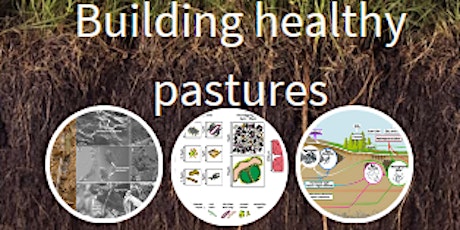 Imagen principal de Building Healthy Pastures