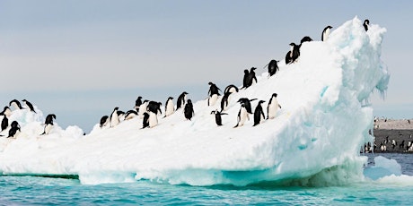 More than Just Penguins? Bringing Antarctica alive for people back home primary image