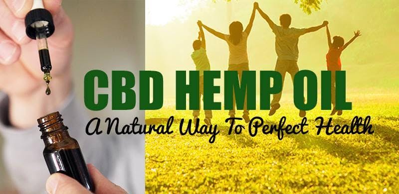 Tampa, FL - CBD Business Opportunity (Join for FREE)/Health & Wellness