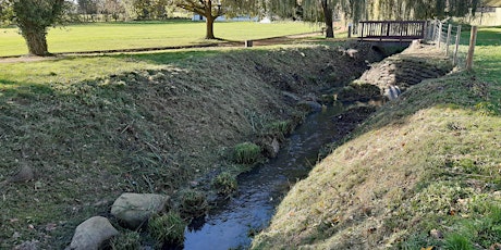 Wednesday Wander  -   Wetland Walk & Presentation on Monitoring Project