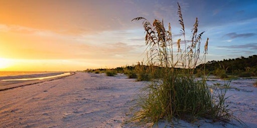 Primaire afbeelding van Beach and Estuary Walk