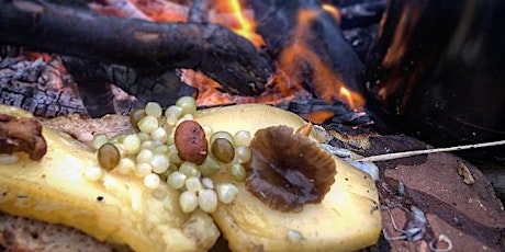 Fire, Forage, Fermentation primary image