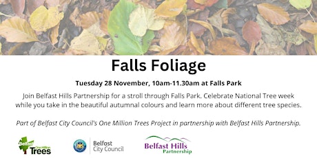 Falls Foliage primary image